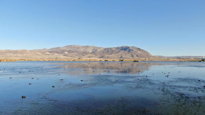  Sivas’ın Ulaş Gölü, kuraklıktan kurtuldu: Karabataklar yuvasına döndü