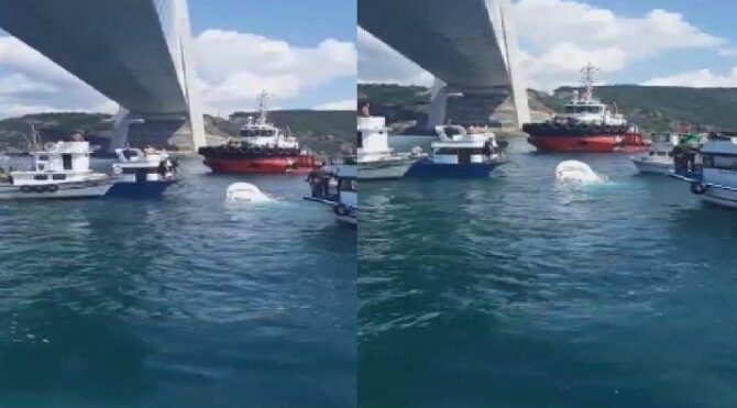  Boğaz’da balıkçı teknesine gemi çarptı