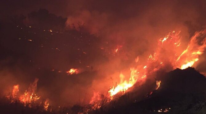  Bingöl’deki orman yangını 4 gündür sürüyor: Köylere yaklaştı