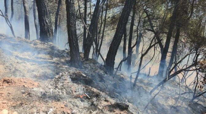  Orman yangınları sürüyor; yerleşim yerleri tahliye edildi