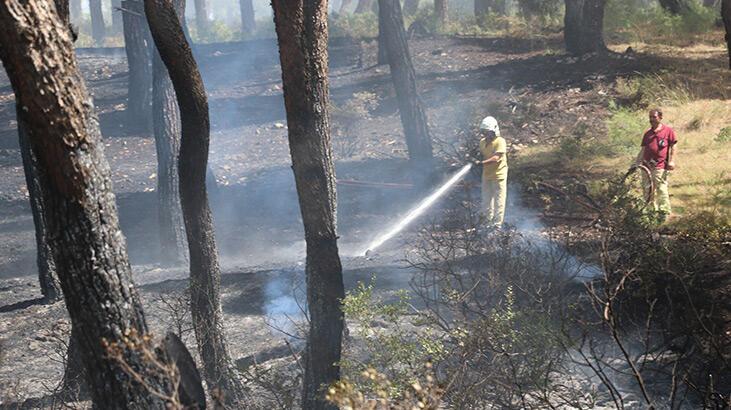  Manisa’da çıkan orman yangını büyümeden söndürüldü