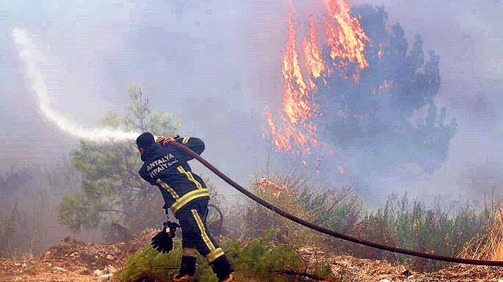  Prof. Dr. Doğanay Tolunay orman yangınların sebebini açıkladı: Yıldırım değilse mutlaka insandır