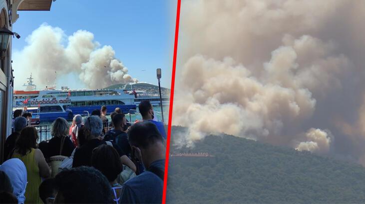  Son dakika: Heybeliada’da orman yangını! Havadan müdahale ediliyor…