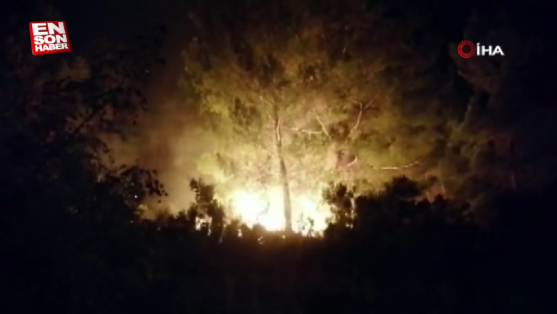  Manavgat’ta orman yangını