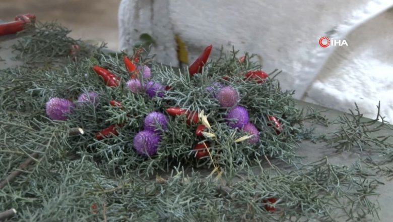  Avrupa’nın yılbaşı çiçekleri Antalya’da hazırlanıyor
