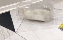 Cam şişeye girip çıkabilen yavru kedi