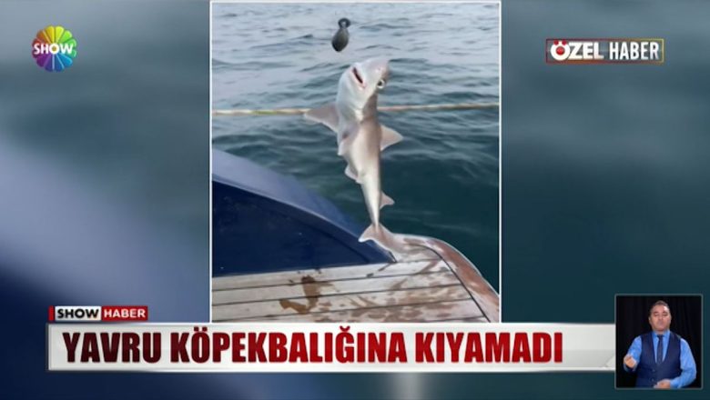  Marmara Denizi’nde köpekbalığı tuttu